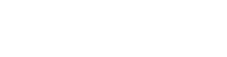 Tech Celerity Global Solutions Pvt. Ltd